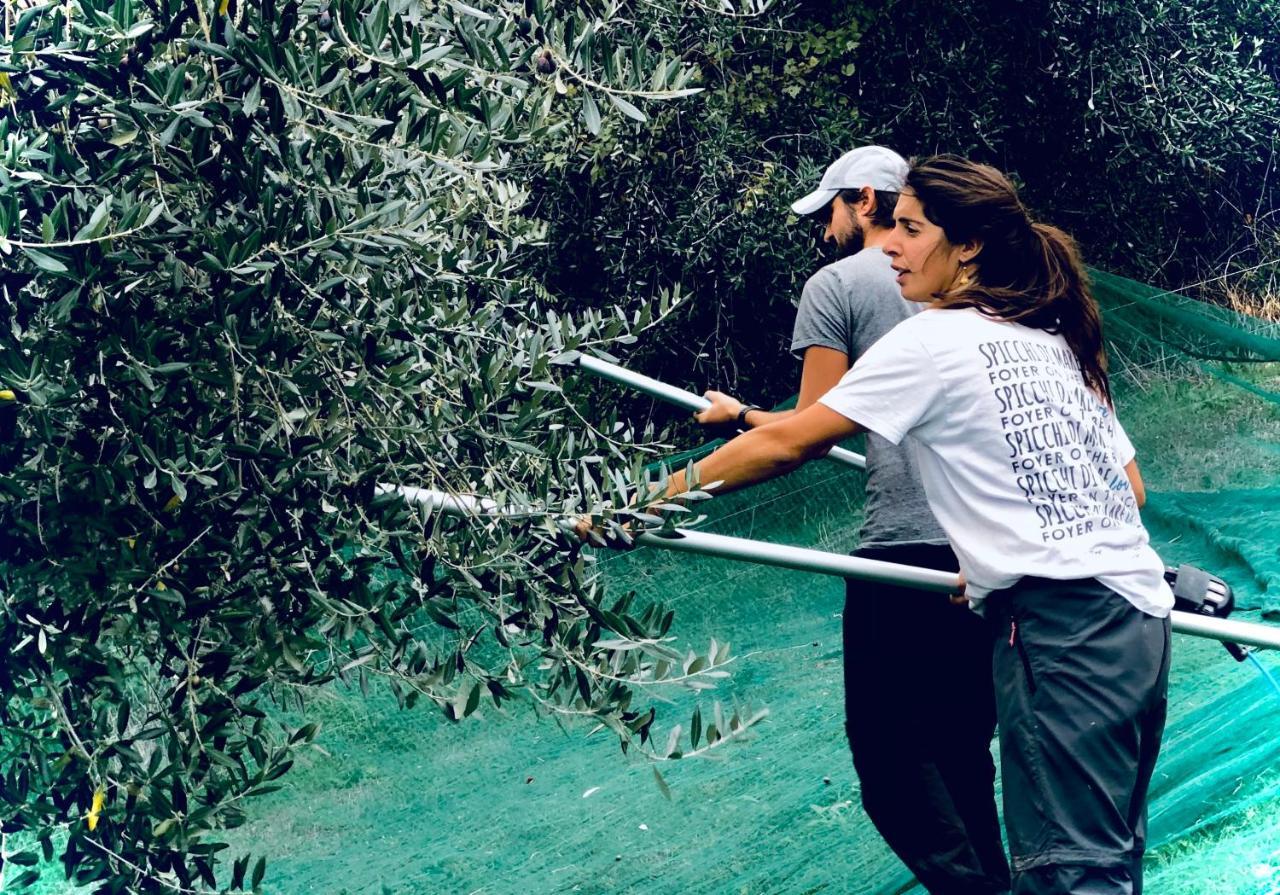 Tenuta Saiano Resort Torriana Dış mekan fotoğraf